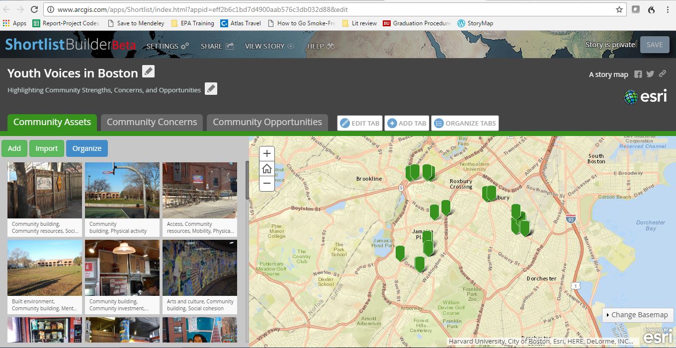 Screenshot of storymap that is unable to save